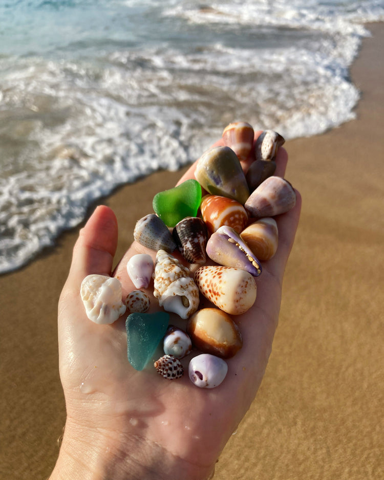 Shell Things