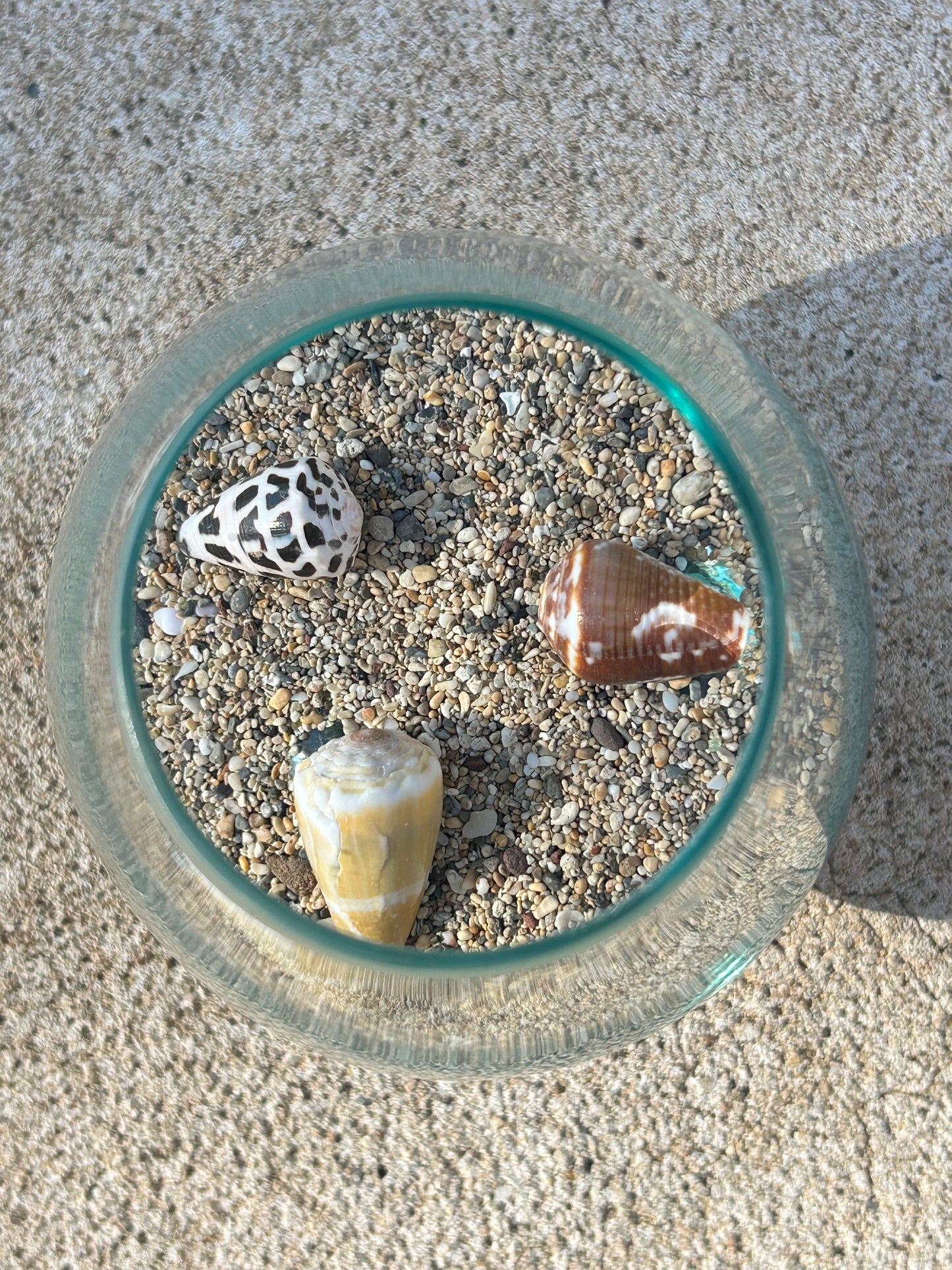 Glass Float Terrarium