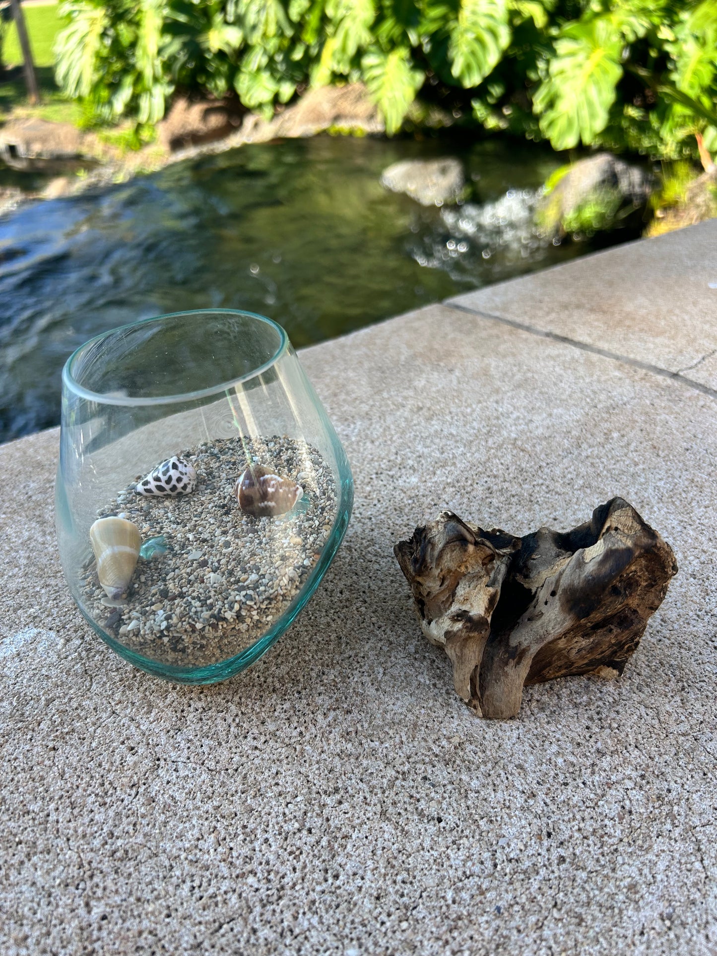 Glass Float Terrarium