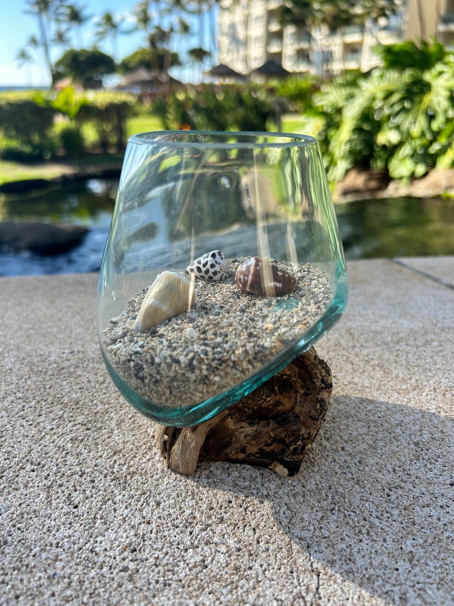 Glass Float Terrarium