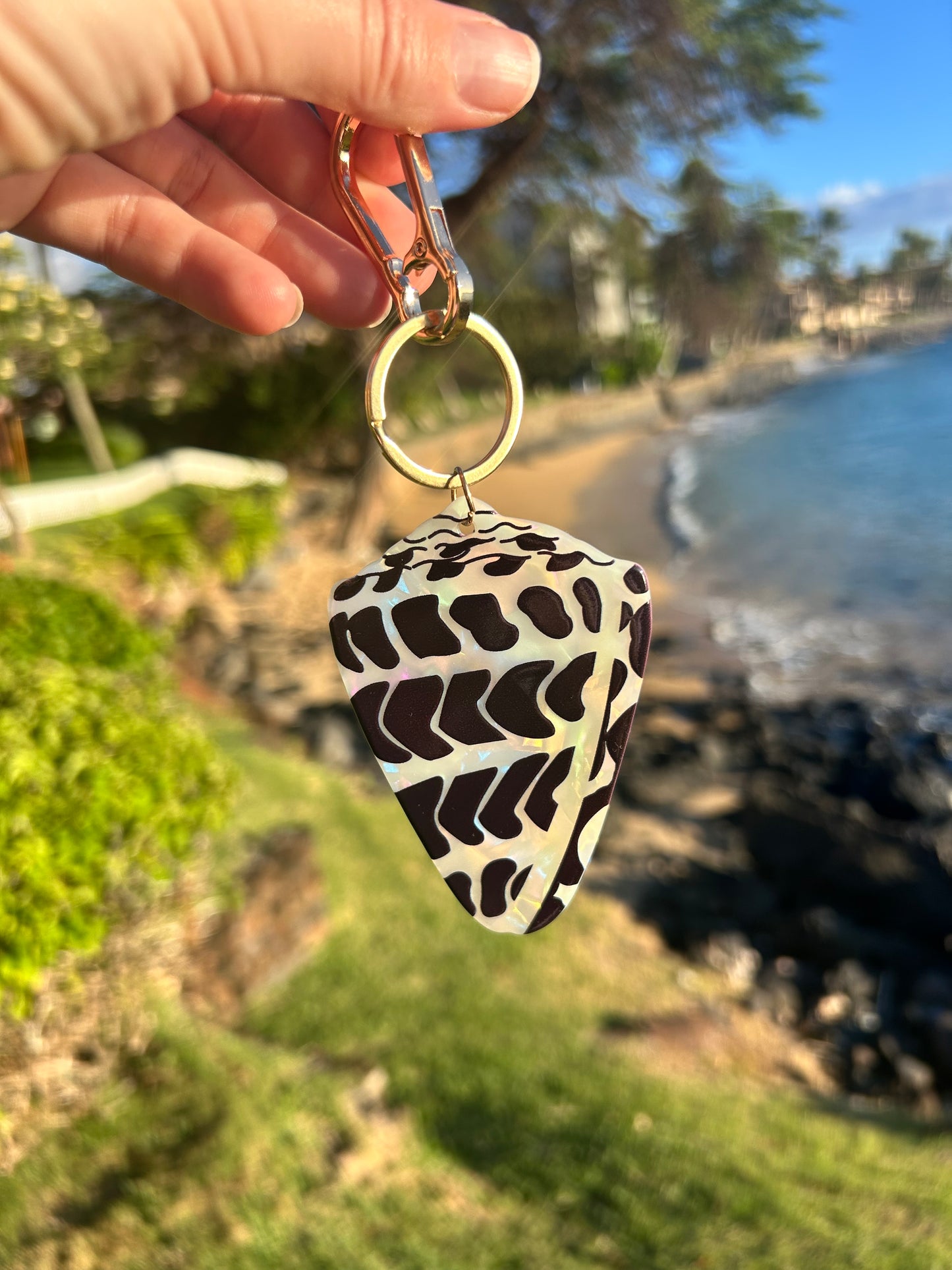 Hebrew Cone Shell Keychain
