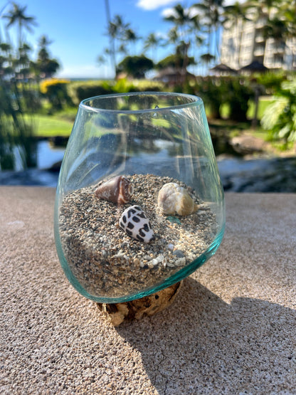 Glass Float Terrarium