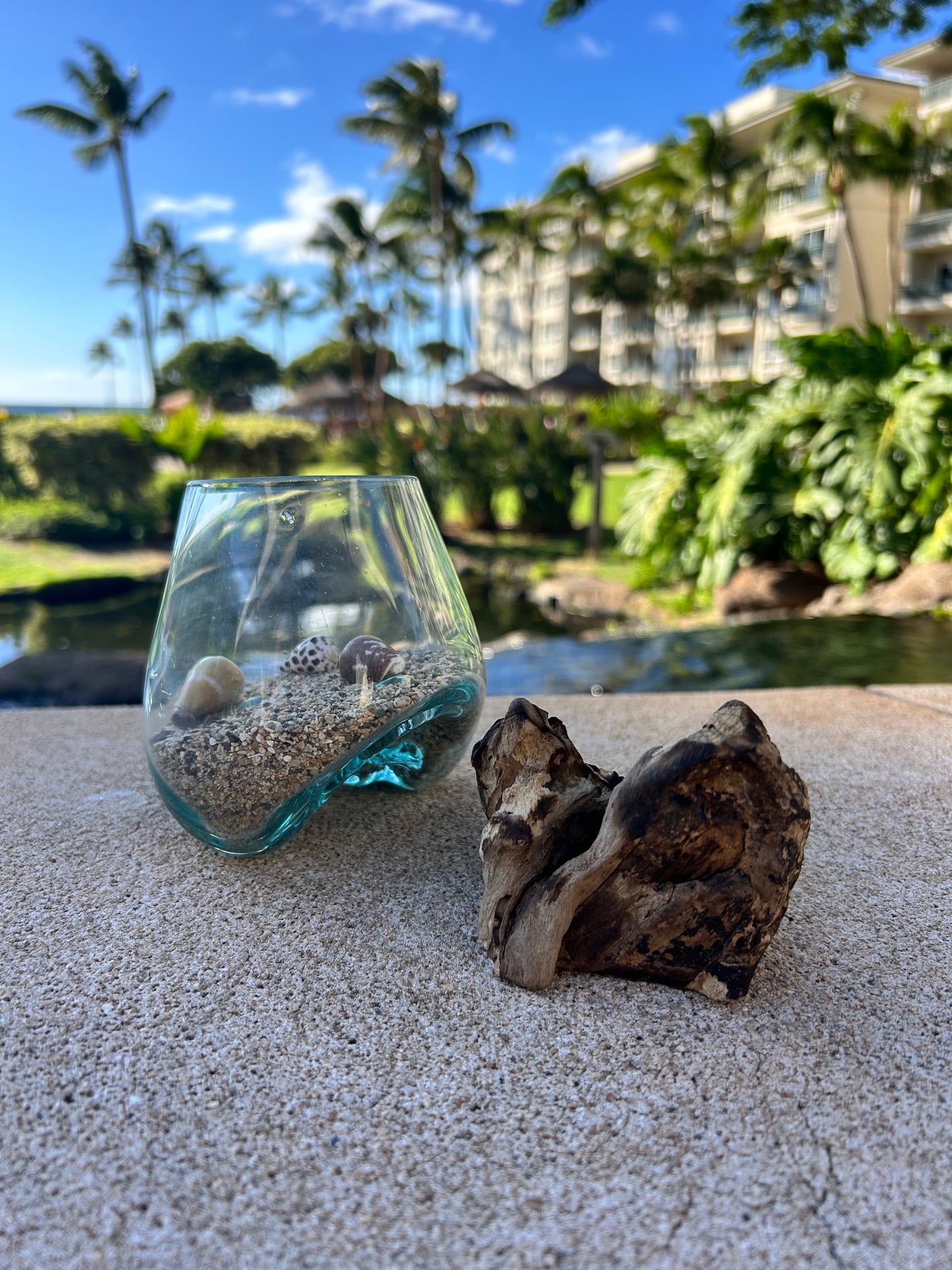 Glass Float Terrarium
