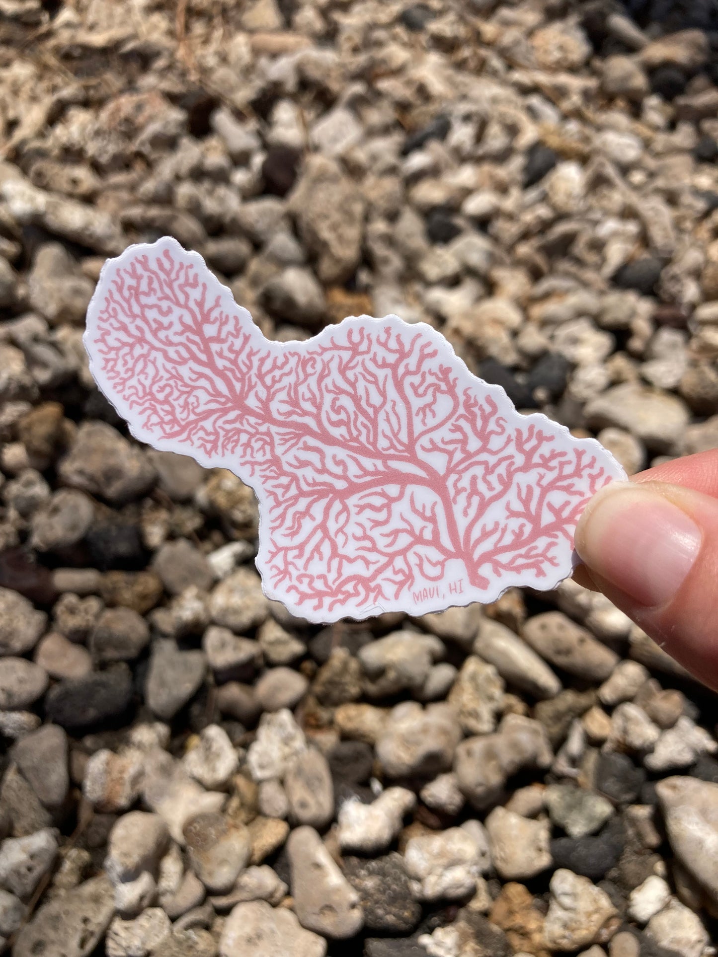 Coral Maui Sticker