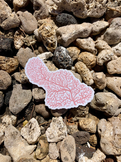Coral Maui Sticker