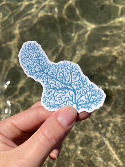 Coral Maui Sticker