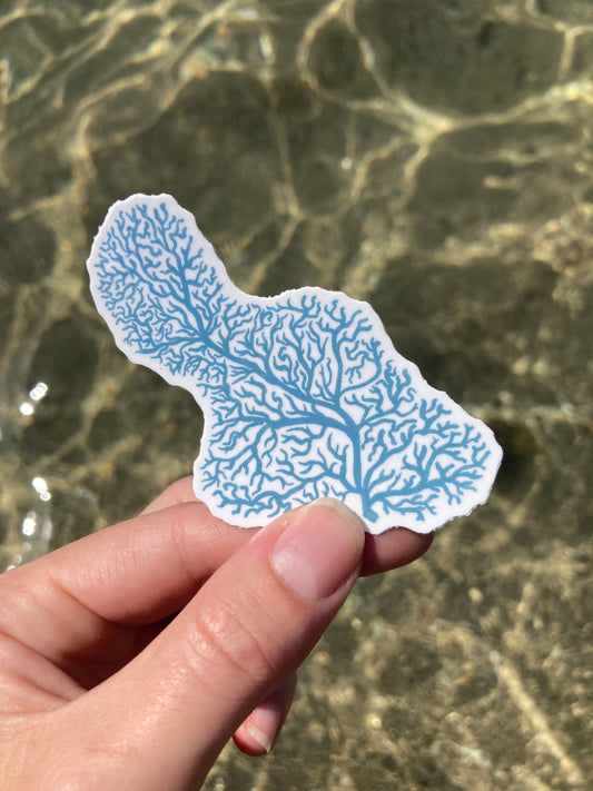 Coral Maui Sticker