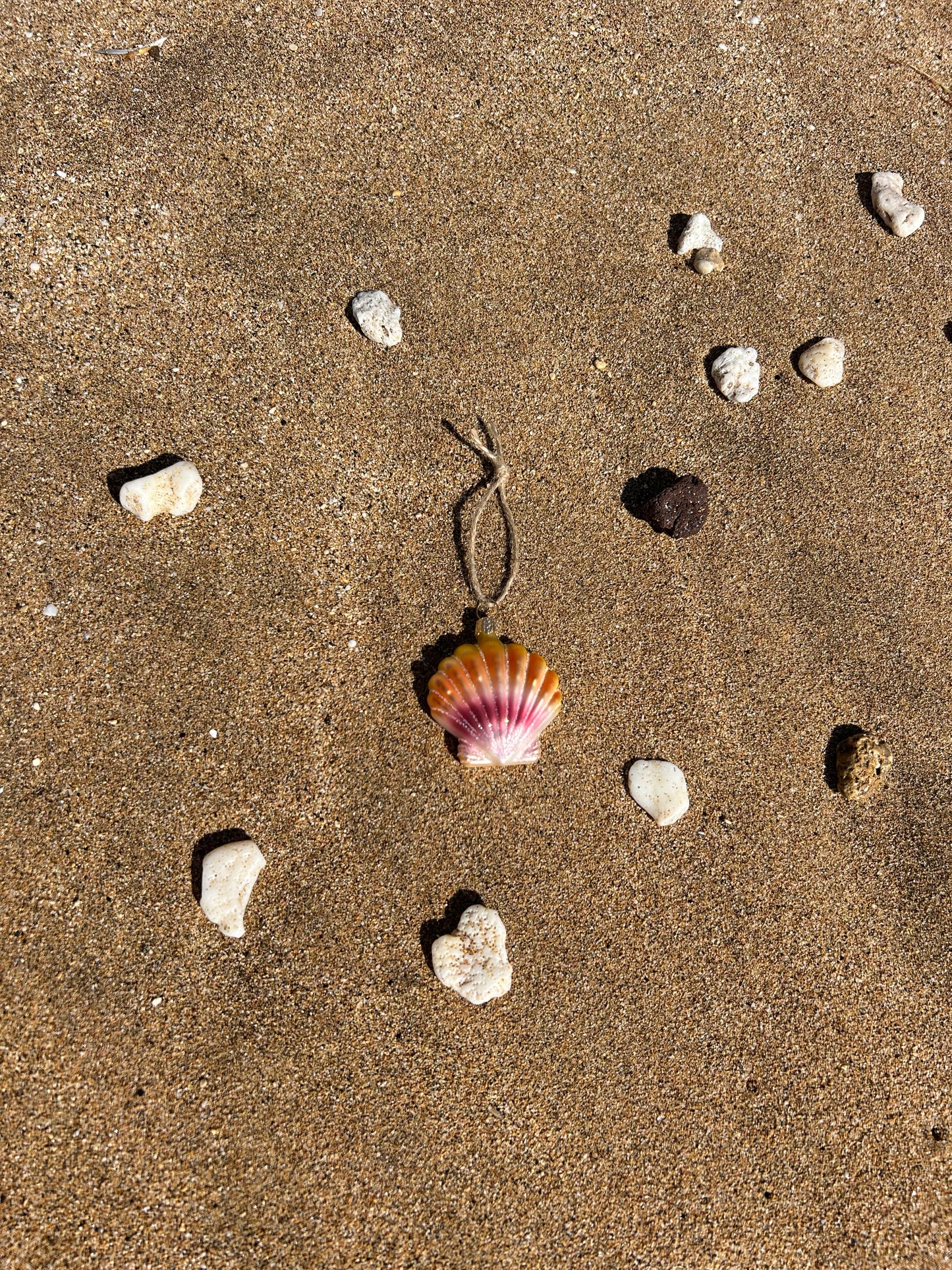 Sunrise Shell Ornament