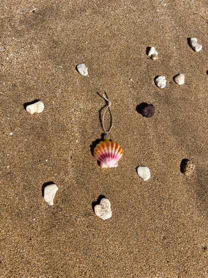 Sunrise Shell Ornament