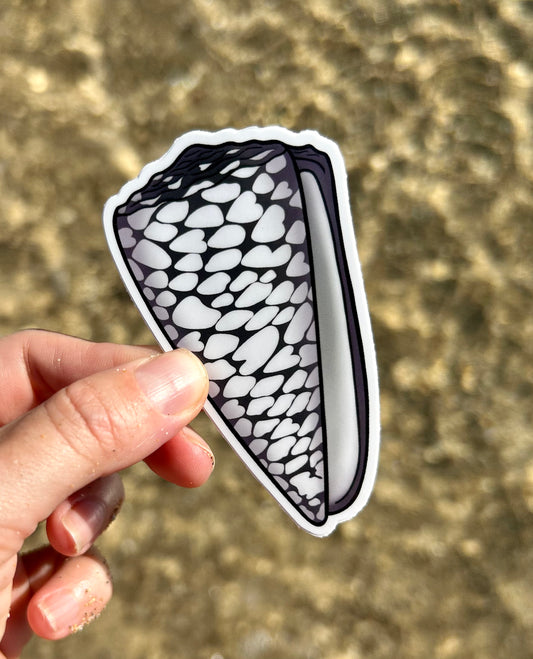 Marble Cone Shell Sticker