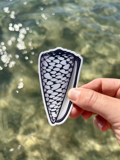 Marble Cone Shell Sticker