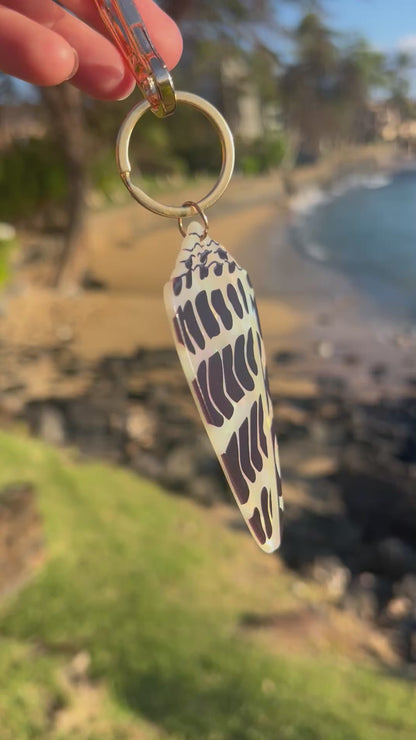 Hebrew Cone Shell Keychain